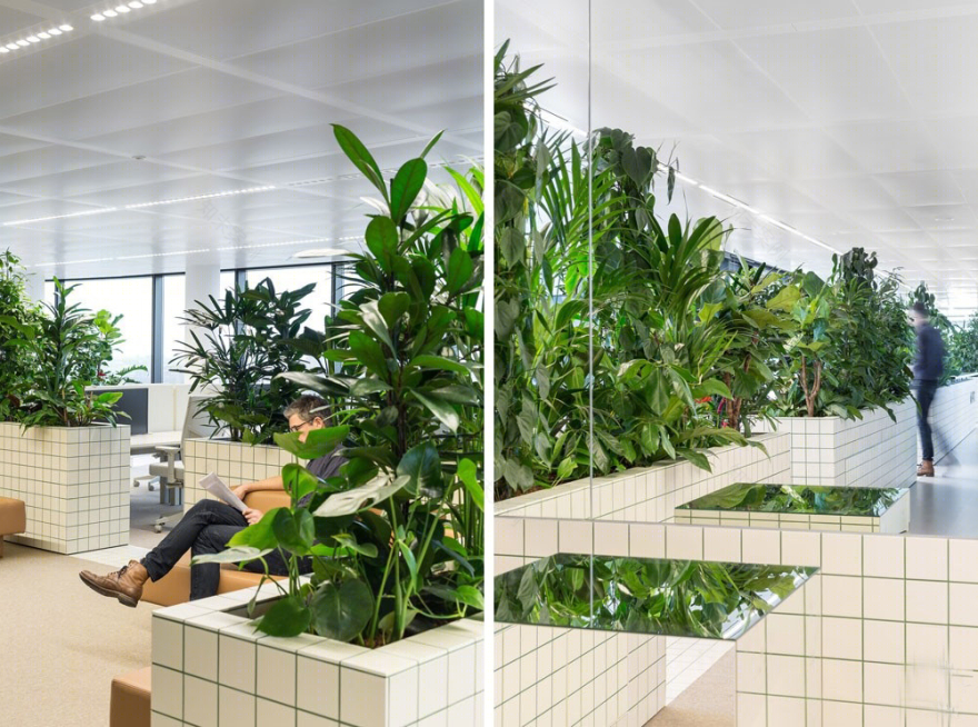 乌得勒支绿植办公室-8