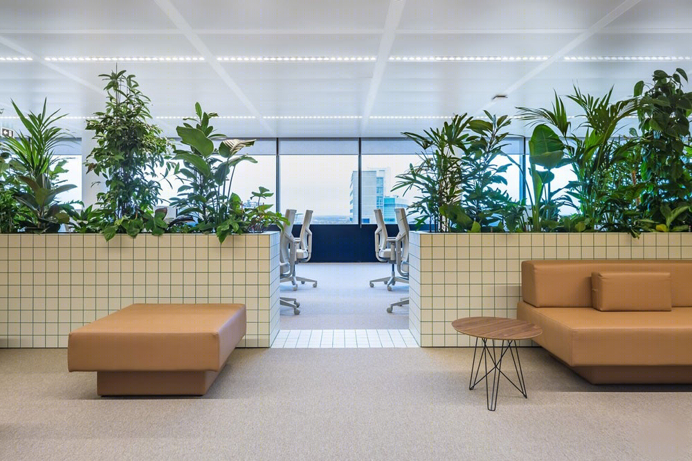 乌得勒支绿植办公室-9