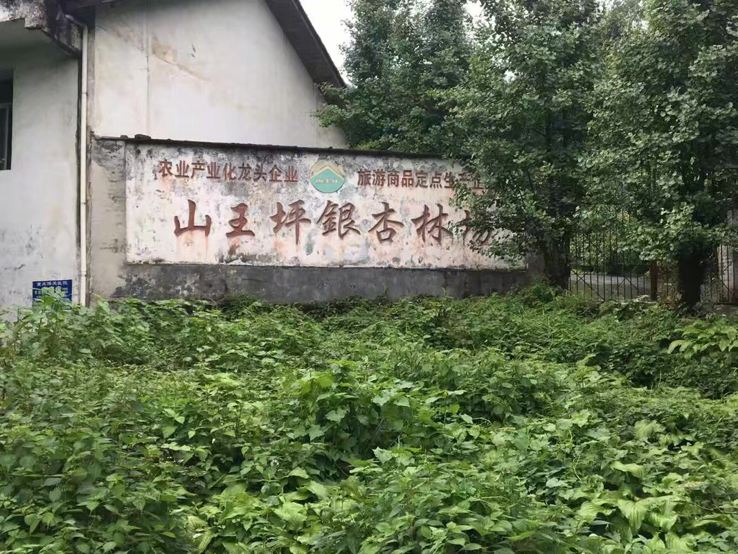 杉语民宿-8