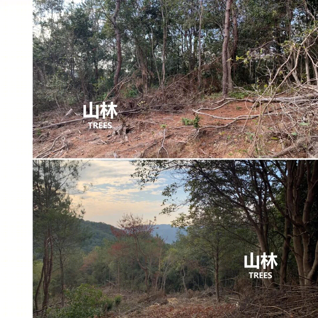 宁海县山地温泉度假酒店丨中国宁波丨杭州澜山建筑设计-87