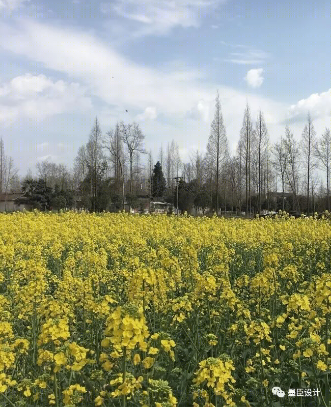 郡源成都·山外山丨中国成都-28