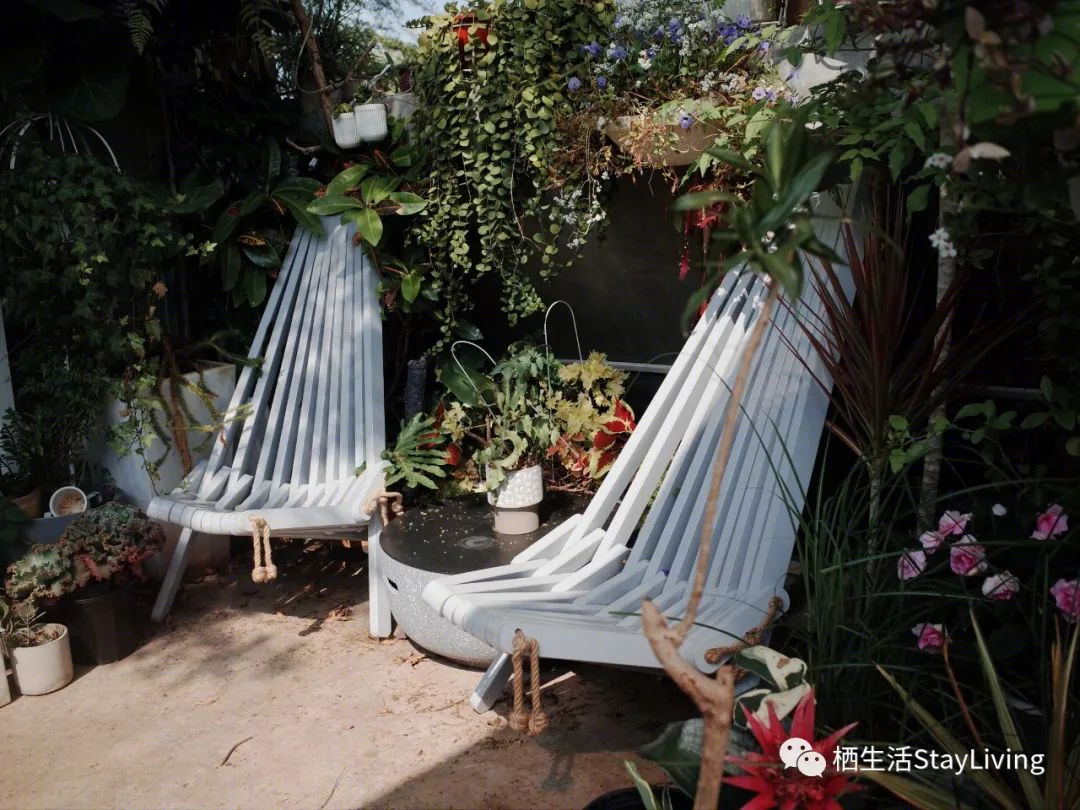 城市绿洲 · 老铁花园的慢生活乌托邦丨荷兰-17