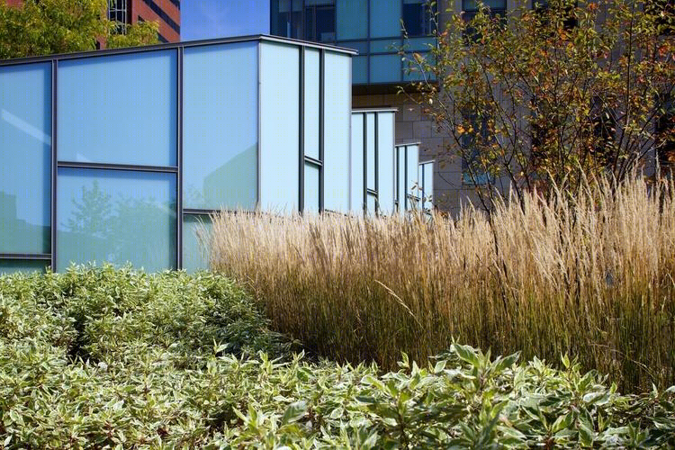 美国麻省理工斯隆管理学院(MIT Sloan School of Management)-28