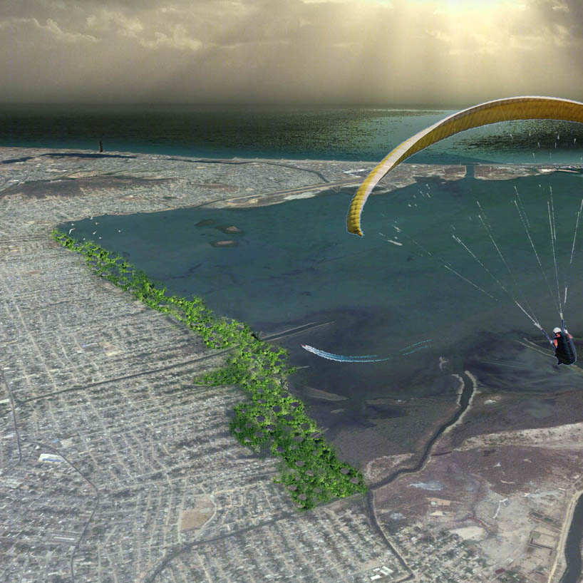 哥伦比亚红树林小岛（Columbia Mangrove Island）-13