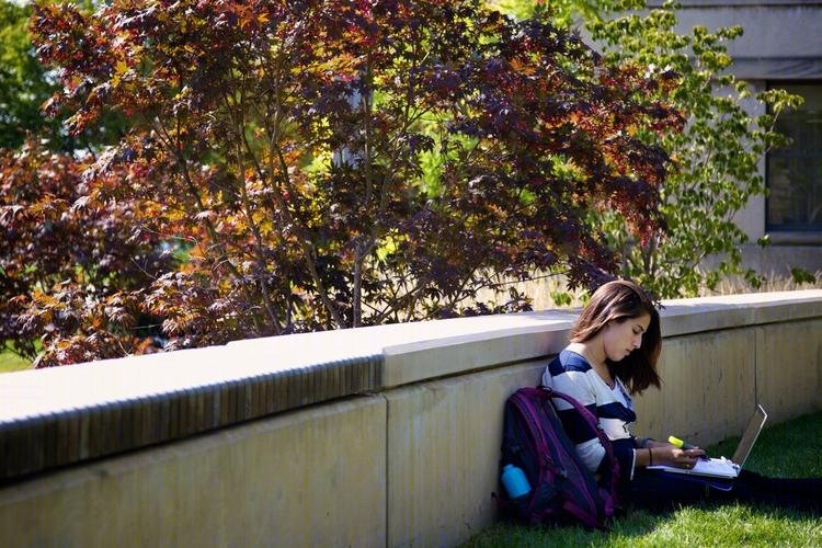 美国麻省理工斯隆管理学院(MIT Sloan School of Management)-30