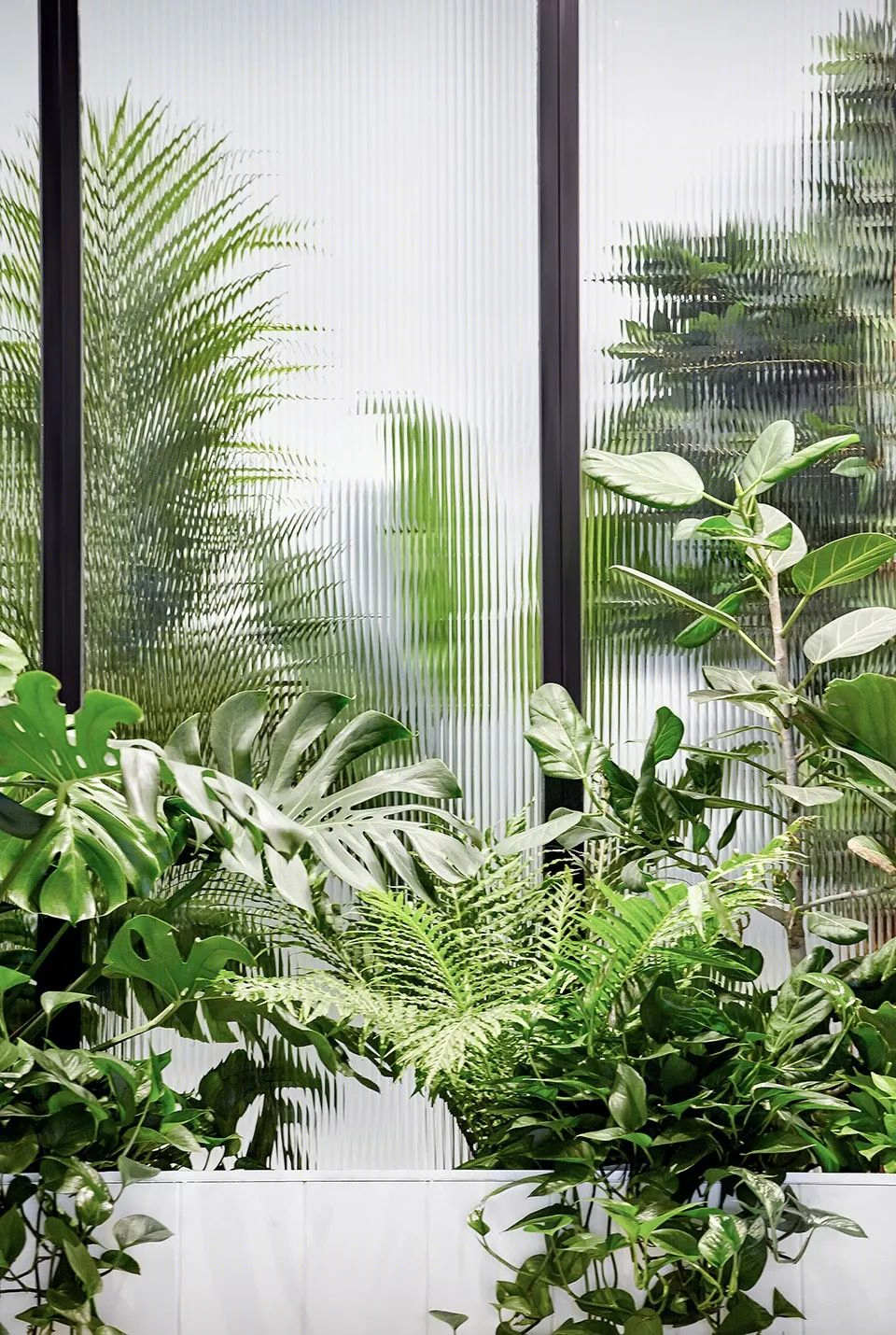 多伦多 iQ Food Co.餐厅 | 自然元素融入沉浸式体验设计-18