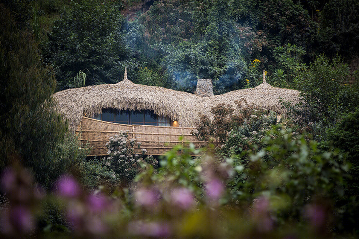 卢旺达 bisate lodge 度假村-3