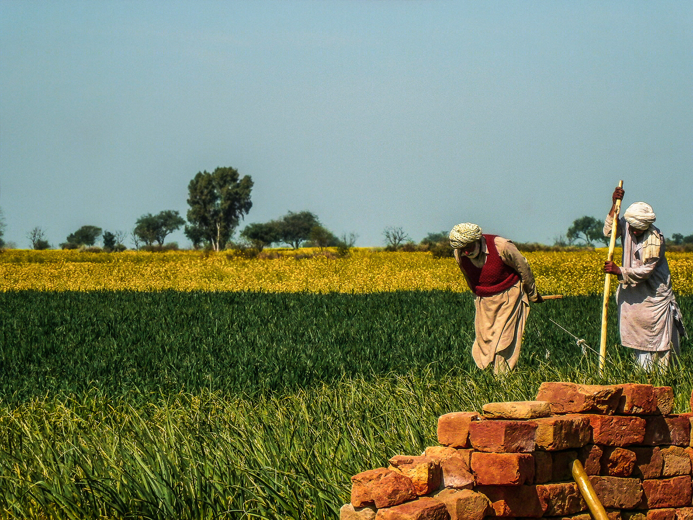 Landscape Photography-2