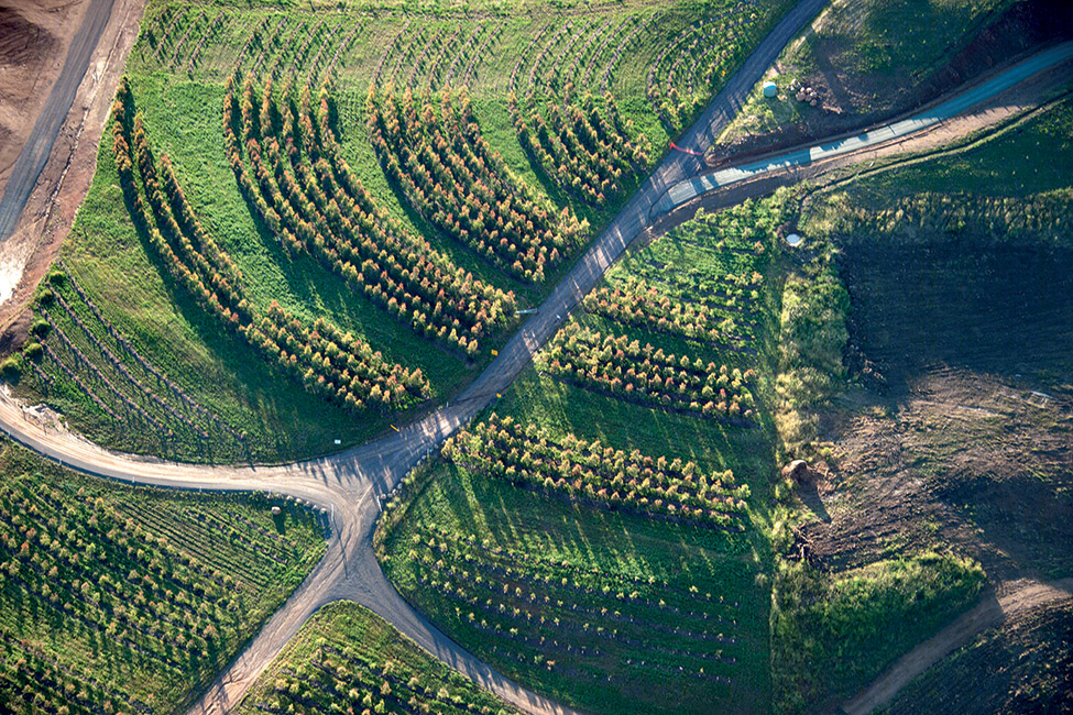 堪培拉国家植物园（National Arboretum Canberra）-18