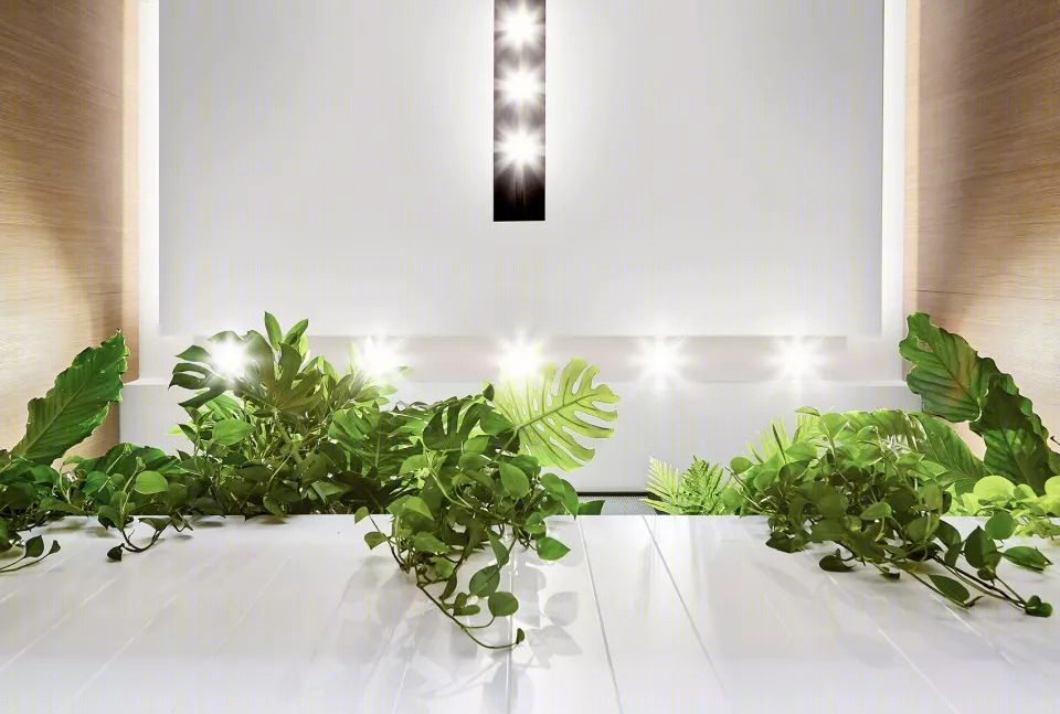 多伦多 iQ Food Co.餐厅 | 自然元素融入沉浸式体验设计-21