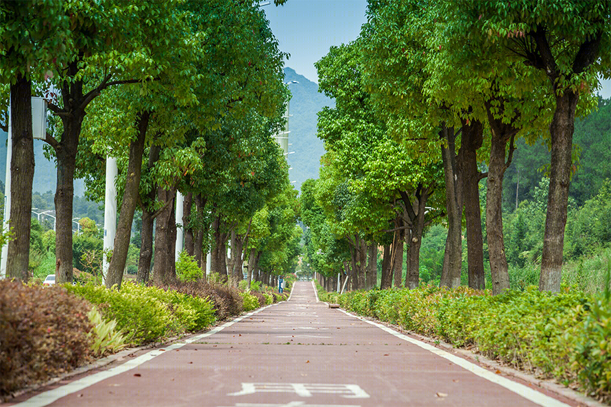 遵义市新浦新区长征大道道路景观-7