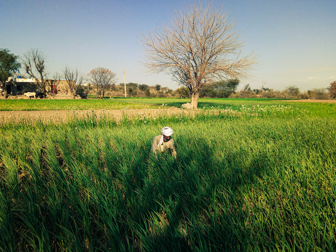 Landscape Photography-3