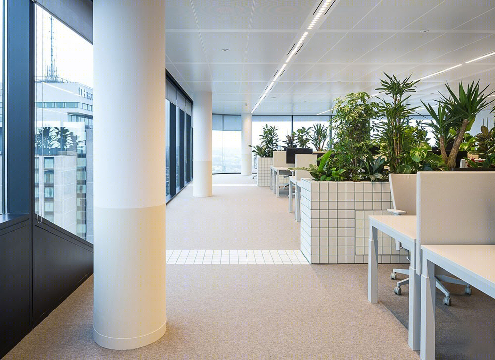 乌得勒支绿植办公室-10