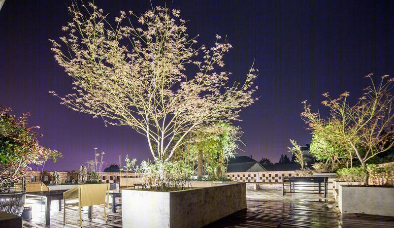 隐世竹居 | 山村小工厂的惊艳蜕变-78