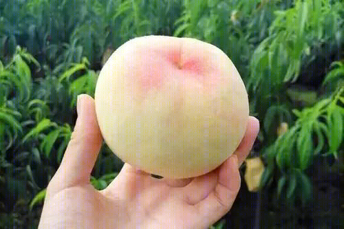 无锡阳山花间堂·桃花岛丨中国无锡-81