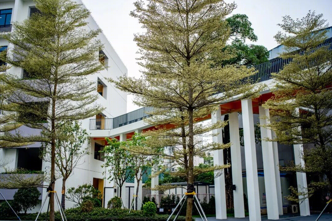 深圳扬美实验学校改扩建丨中国深圳-41