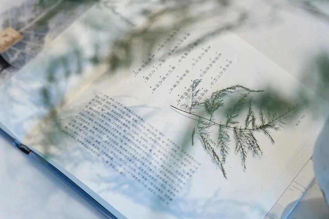 潍坊温润宜居样板间-16