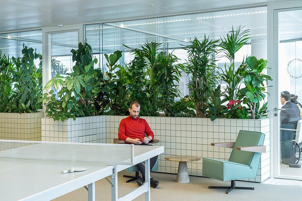 乌得勒支绿植办公室-11