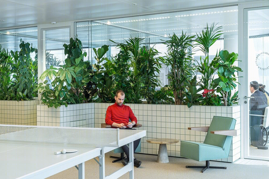 乌得勒支绿植办公室-11