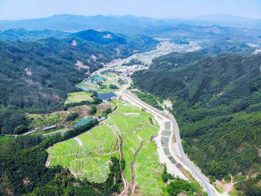 皂幕山通景路-18