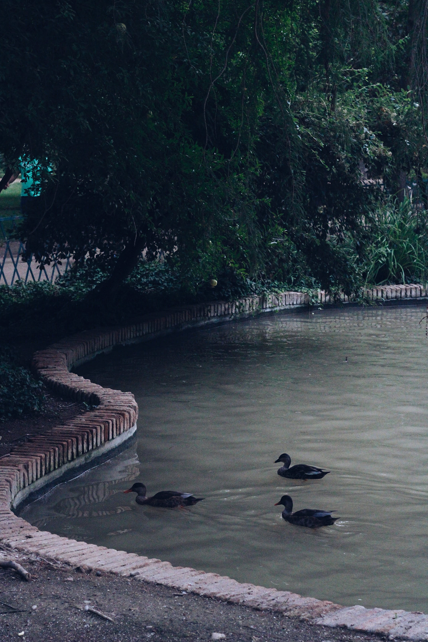 Cities and landscapes-2