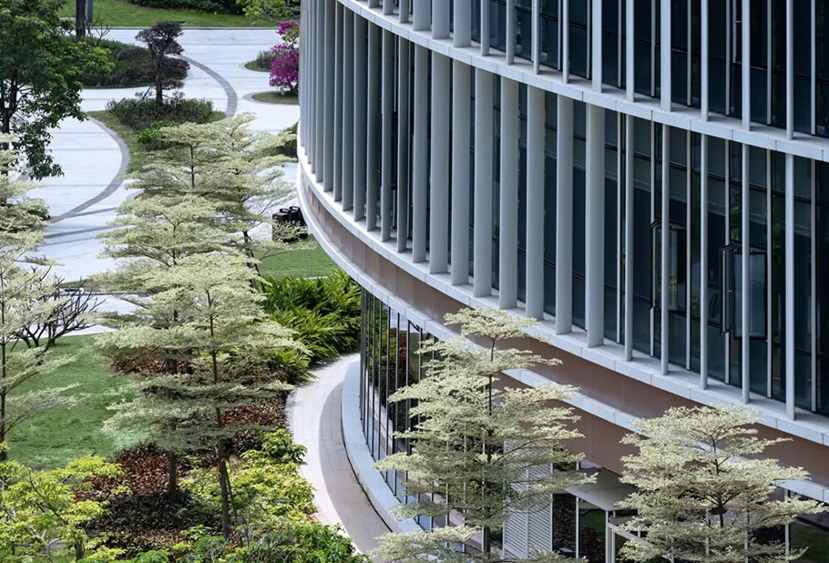 珠海粤澳合作中医药科技产业园丨中国珠海丨同济大学建筑设计研究院-28