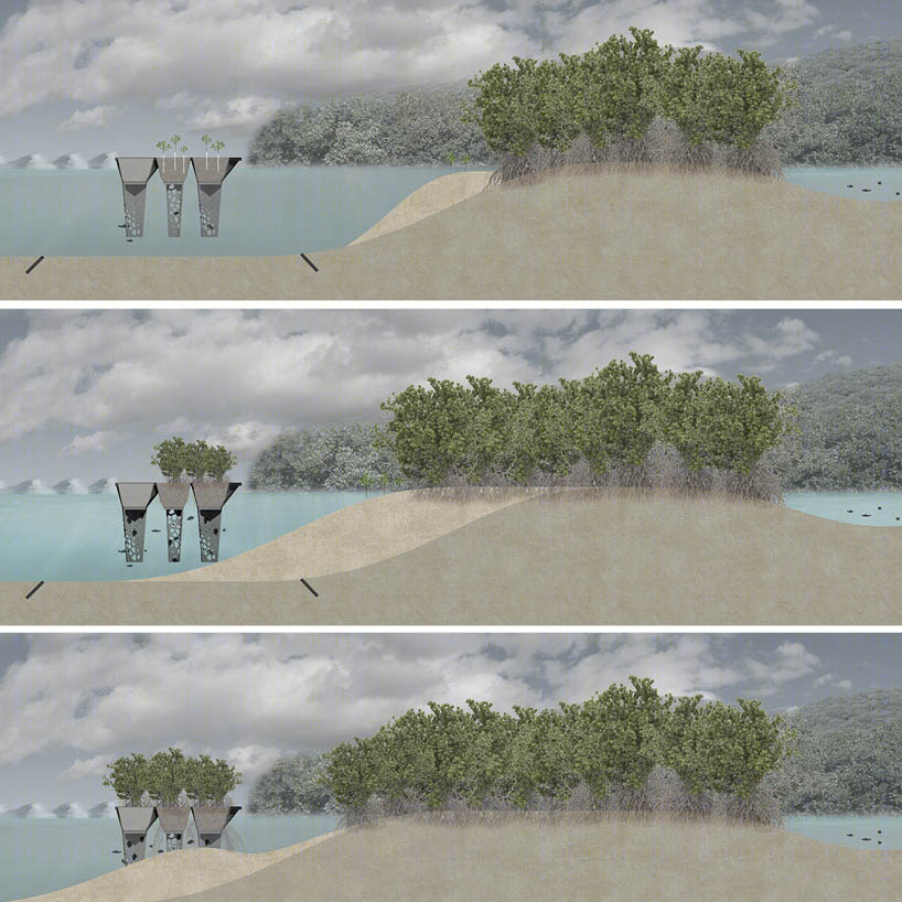 哥伦比亚红树林小岛（Columbia Mangrove Island）-16