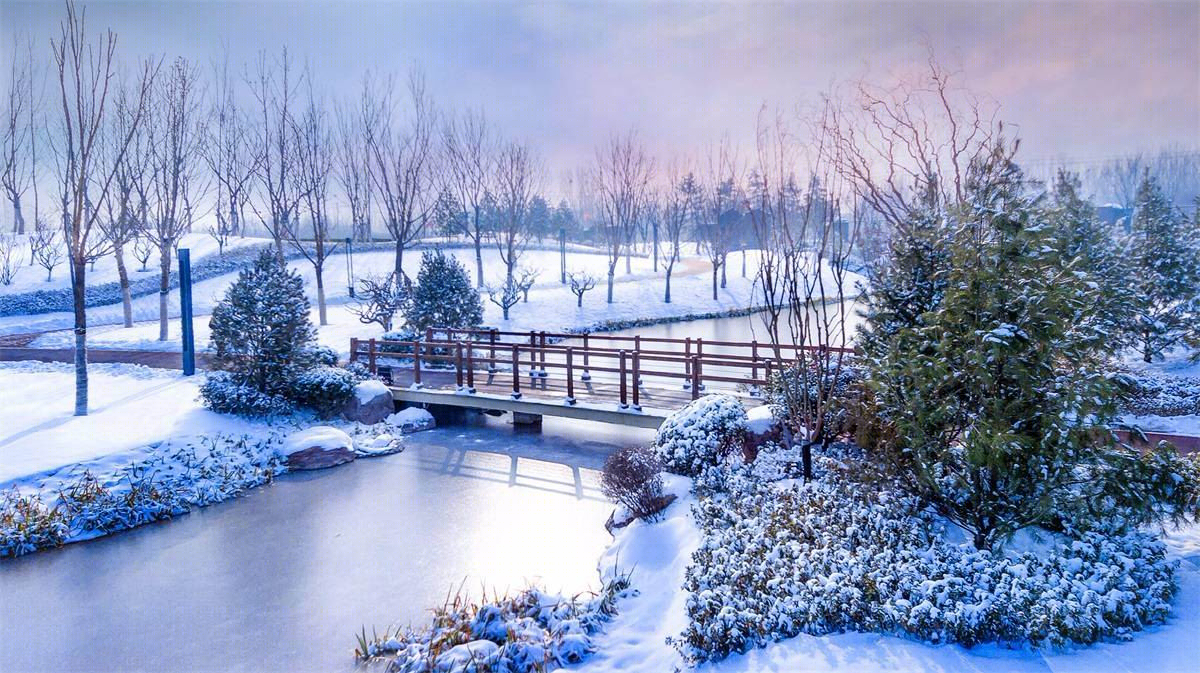 河南武陟龙泽湖公园-23