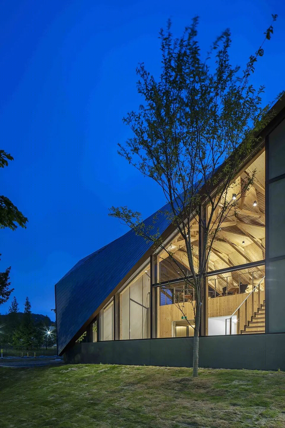 木构之魅——SYNEGIC 公司办公楼-41