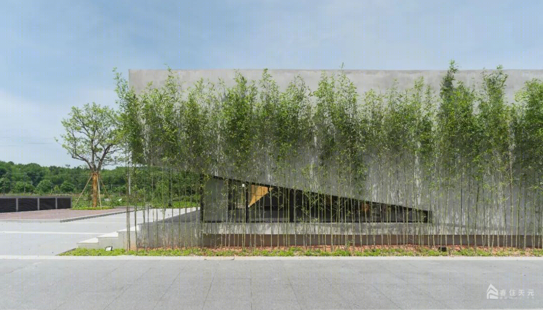 韶关市仁化县河富村大井民宿丨中国韶关丨广东天元建筑设计有限公司(睿住天元)-91
