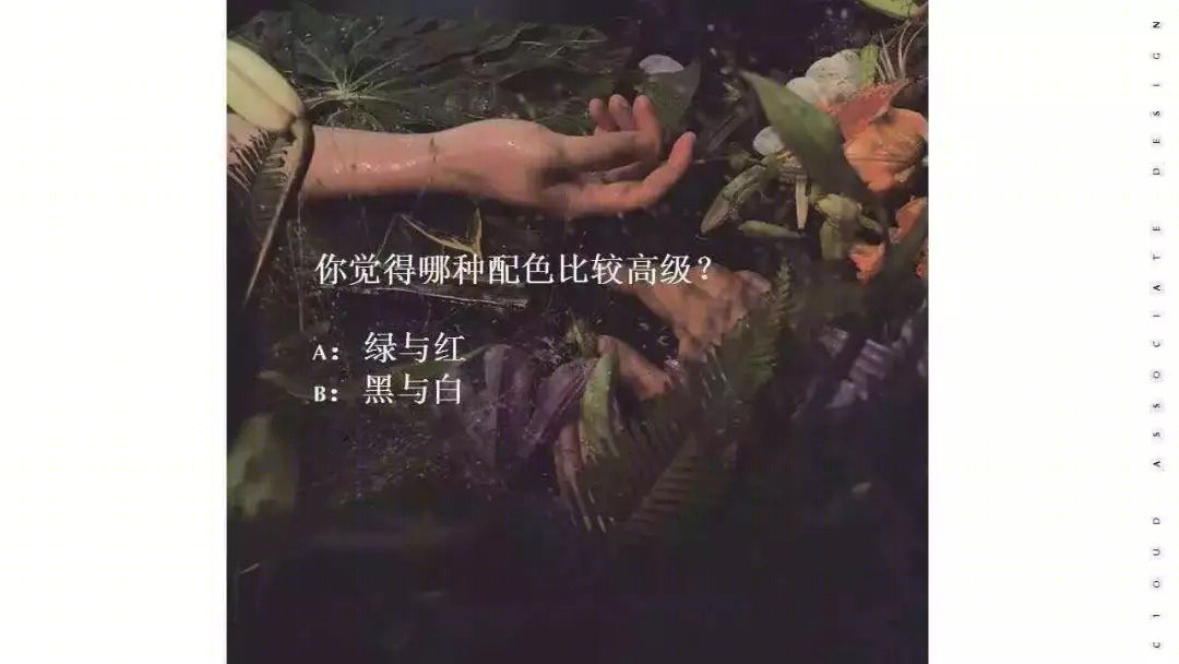 软装陈设的色彩艺术 | 形色质与高级感的完美结合-26