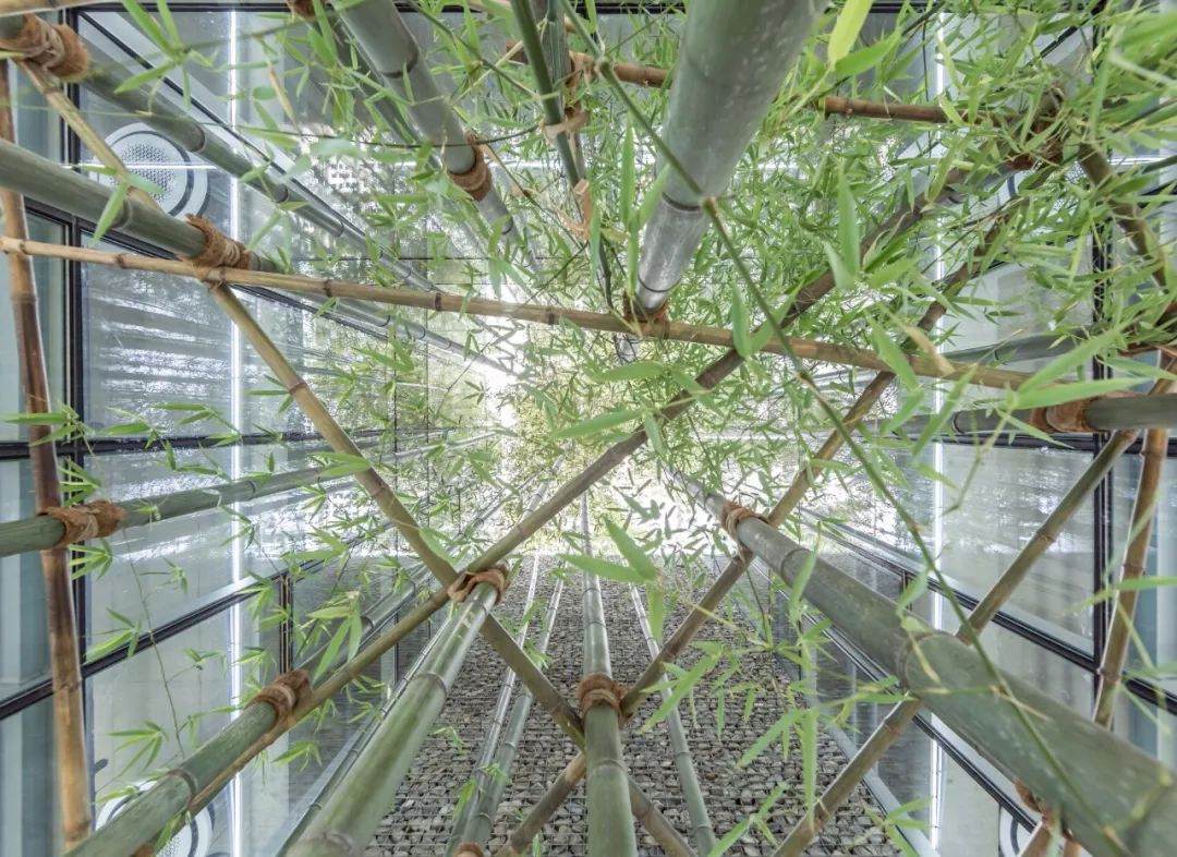 首尔 Bambu 大厦丨韩国首尔丨UnSangDong Architects-17