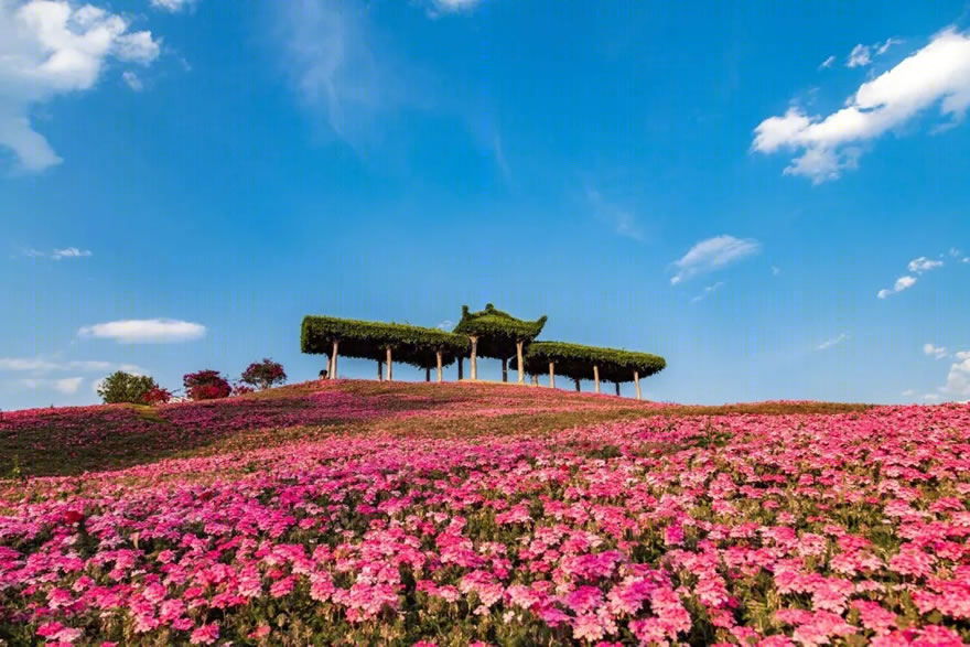 金杯半山·米易太阳谷国际大康养旅游度假区丨中国四川-35