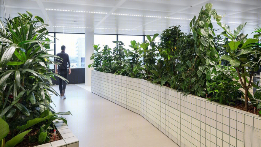 乌得勒支绿植办公室-12