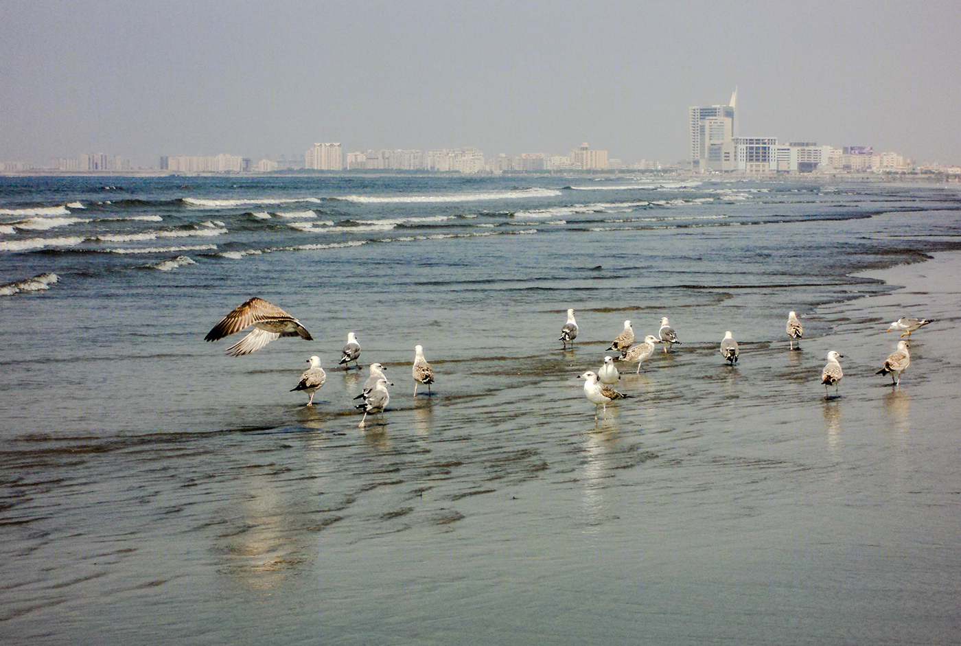 Landscape Photography-7