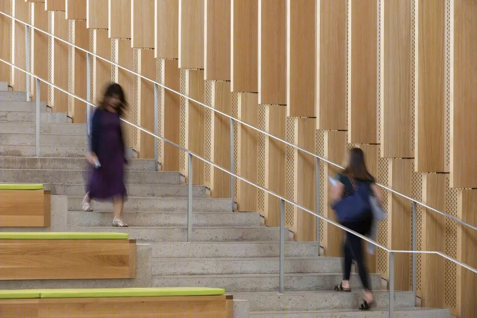 康奈尔兽医学院 | 绿色庭院与画廊大厅的共生设计-31