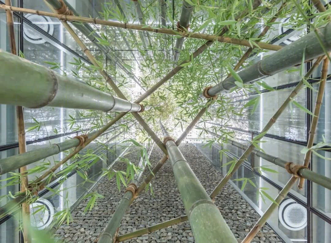 首尔 Bambu 大厦丨韩国首尔丨UnSangDong Architects-18