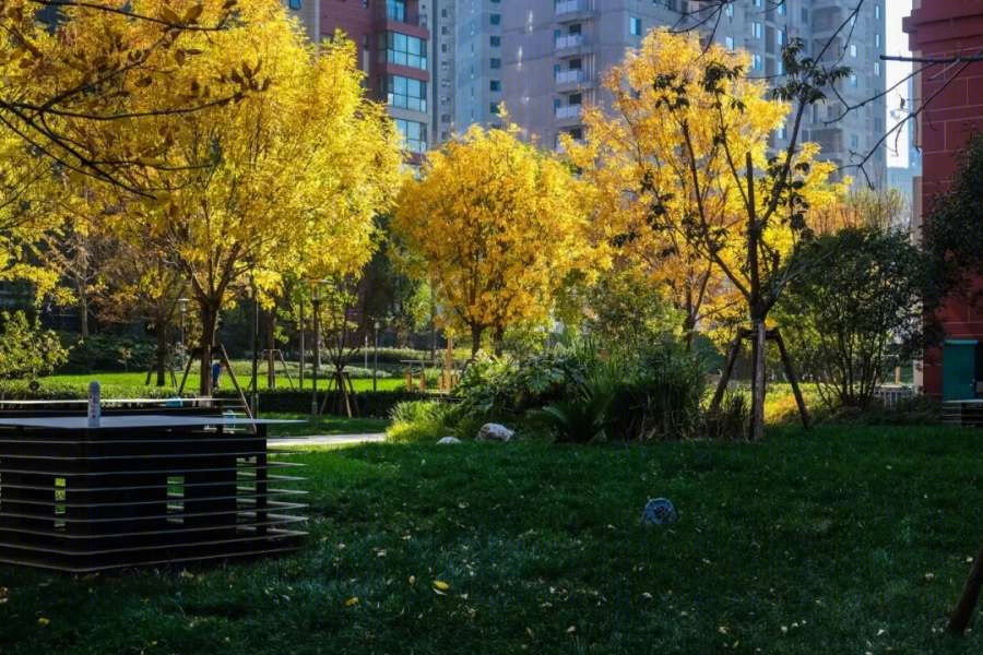杭州良渚未来城住宅景观设计-20