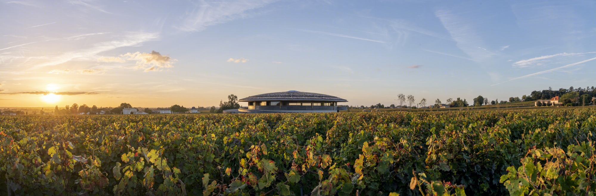 Le Dome 酒庄丨法国丨Foster + Partners-23