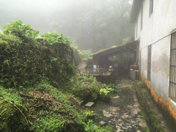 杉语民宿-30