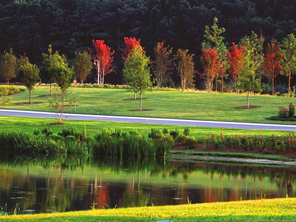 印度河海湾半岛住宅景观-23