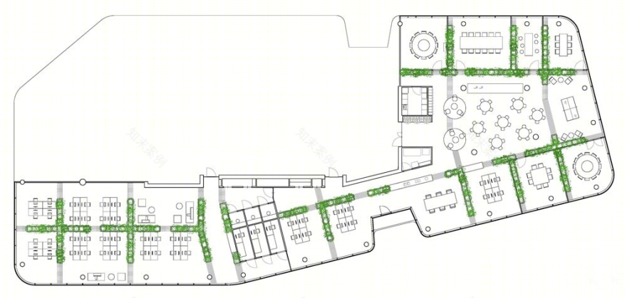 乌得勒支绿植办公室-13