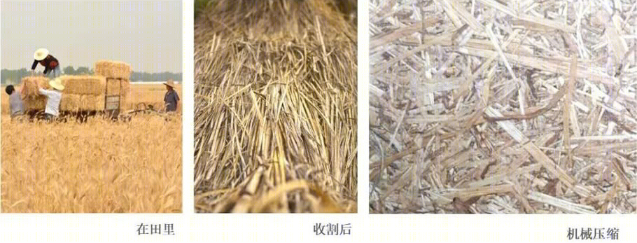 南宁南国乡村农房科技博物馆丨中国南宁丨华蓝设计（集团）有限公司-29
