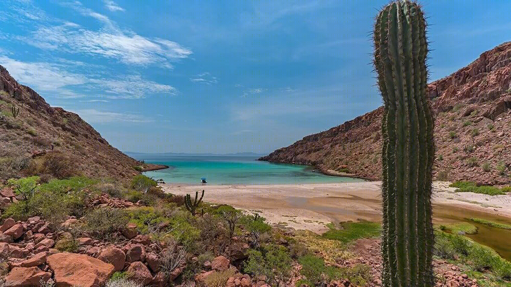 墨西哥 SOLAZ LOS CABOS 豪华度假酒店——沙漠与大海的完美融合-103