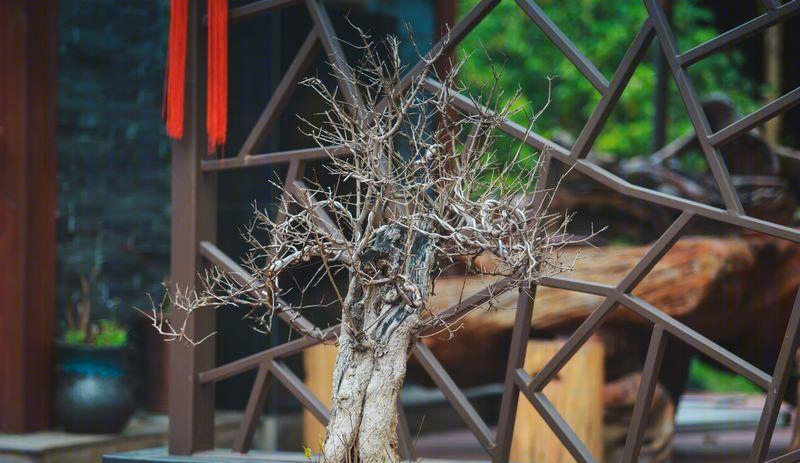 盘门景区别墅会所-7