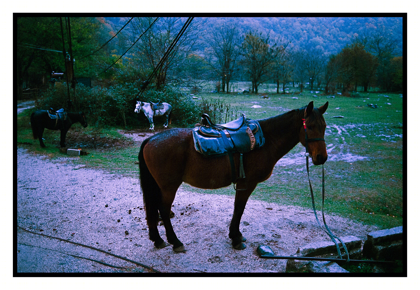 One day in Abkhazia-1