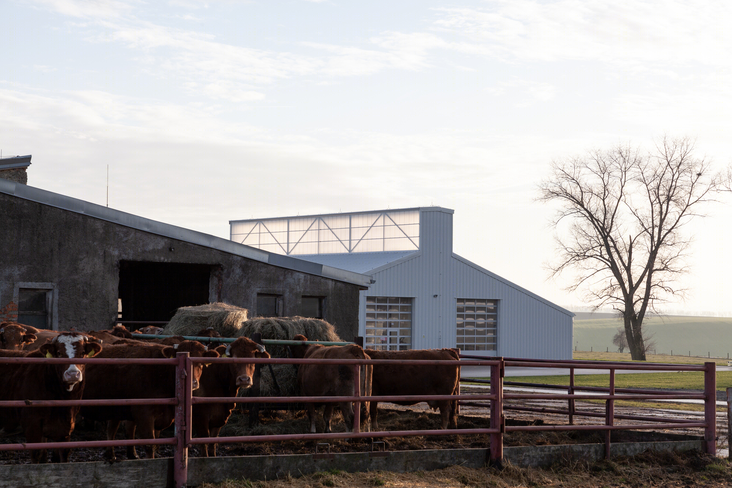 捷克白色棚子-7