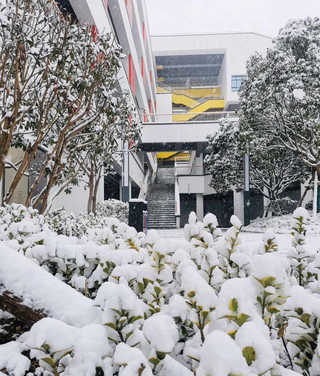 吉首中驰·湘郡礼德学校丨中国湘西丨山东建筑大学建筑城规学院象外营造工作室-64