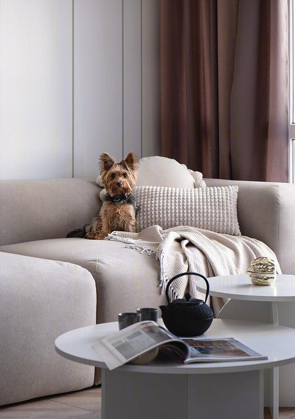 化繁为简：43.5²现代简约气息温馨小家-10