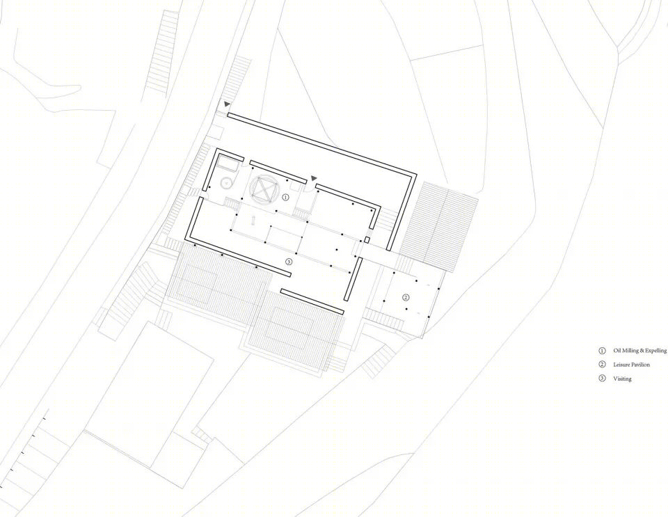 村民和游客共享的山茶油制作工坊-45